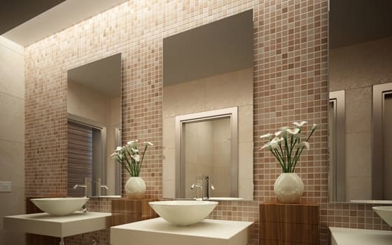 Mirrors & Custom Mirror Frames