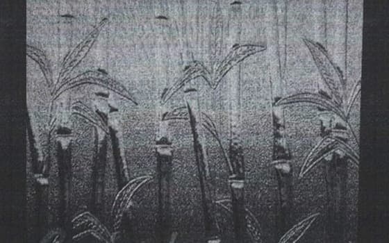 Pattern Glass